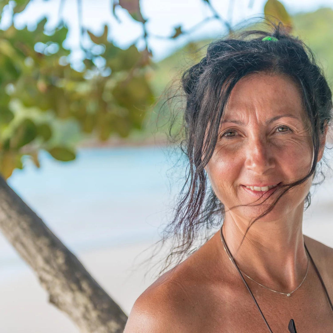 La menopausia